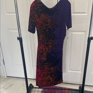 Jones New York Elegant Multicolor Women's Dress